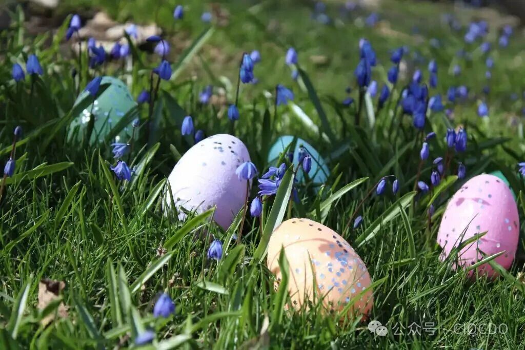 超越淘金熱：尋找“數(shù)字彩蛋”以確保AI價(jià)值